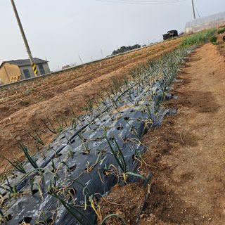 조순범님의 자유주제 · 자유게시판 작성글 사진