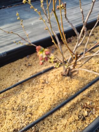 김동만님의 자유주제 · 자유게시판 작성글 사진