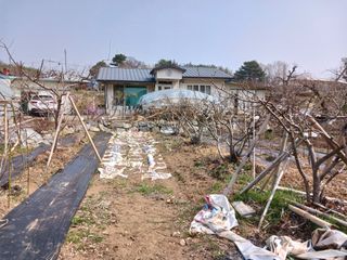 최낙원님의 자유주제 · 자유게시판 작성글 사진