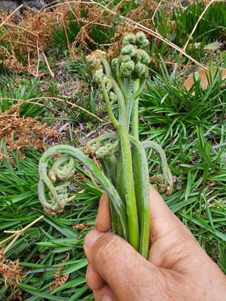 제주부자팜님의 자유주제 · 자유게시판 작성글 사진