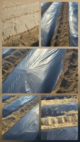 팜모닝 자유주제·자유게시판 게시글 이미지