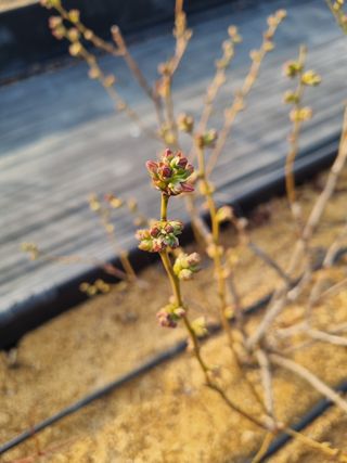 김동만님의 자유주제 · 자유게시판 작성글 사진