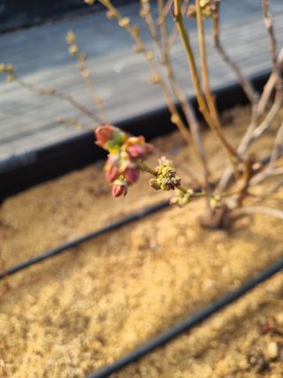 김동만님의 자유주제 · 자유게시판 작성글 사진