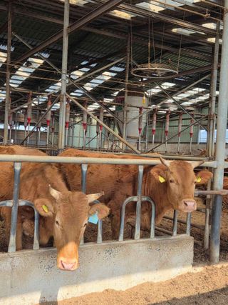 국중선님의 자유주제 · 자유게시판 작성글 사진