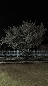 주윤발이님의 자유주제·자유게시판 작성글 사진