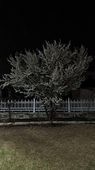 주윤발이님의 자유주제 · 자유게시판 작성글 사진