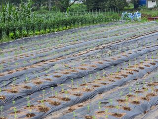 장&강 힐링하우스님의 자유주제 · 자유게시판 작성글 사진