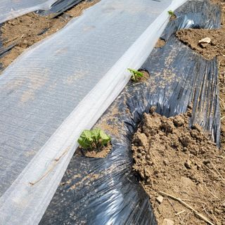 이창화님의 자유주제 · 자유게시판 작성글 사진