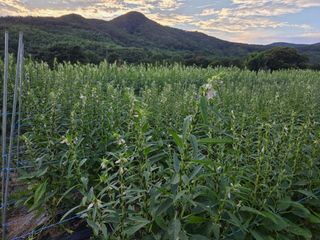 장&강 힐링하우스님의 자유주제 · 자유게시판 작성글 사진
