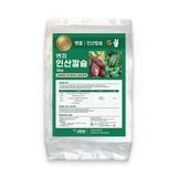 팜모닝 · 게시글 이미지