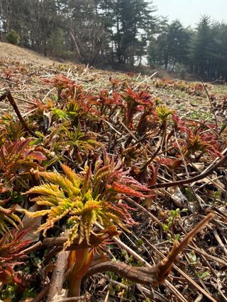 차민주님의 자유주제 · 자유게시판 작성글 사진