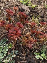 팜모닝 자유주제·자유게시판 게시글 이미지