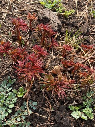 차민주님의 자유주제 · 자유게시판 작성글 사진