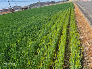 사천시향촌동 돼지띠님의 자유주제 · 자유게시판 작성글 사진