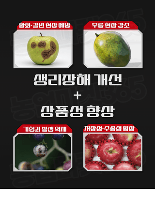 농업마켓365님의 작성글 사진