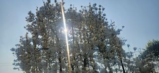 구춘봉님의 자유주제 · 자유게시판 작성글 사진