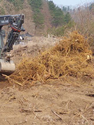 안비님의 자유주제 · 자유게시판 작성글 사진