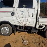 일심묘목농원님의 자유주제·자유게시판 작성글 사진