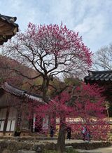 팜모닝 자유주제·자유게시판 게시글 이미지