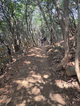 허투루님의 자유주제 · 자유게시판 작성글 사진