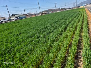 사천시향촌동 돼지띠님의 자유주제 · 자유게시판 작성글 사진