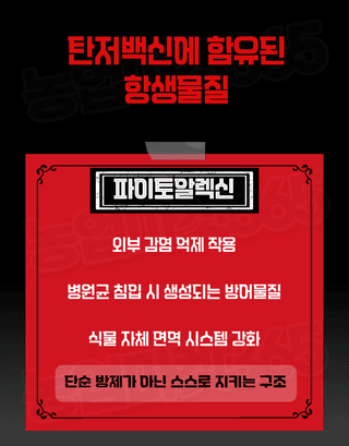 농업마켓365님의 작성글 사진
