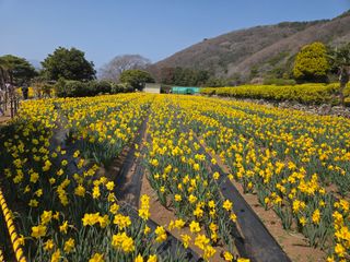 허투루님의 자유주제·자유게시판 작성글 사진