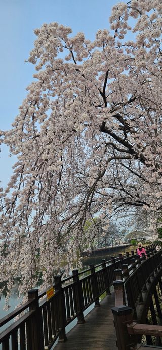 구춘봉님의 자유주제 · 자유게시판 작성글 사진