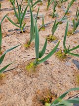 팜모닝 자유주제·자유게시판 게시글 이미지