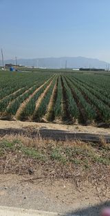 knlee님의 자유주제·자유게시판 작성글 사진