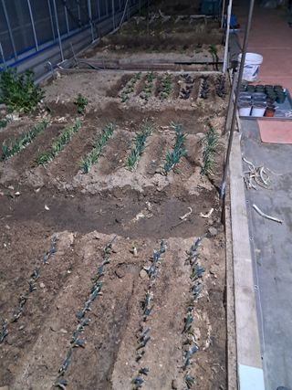 전희분님의 자유주제 · 자유게시판 작성글 사진