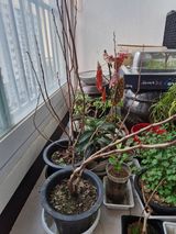 팜모닝 자유주제·자유게시판 게시글 이미지