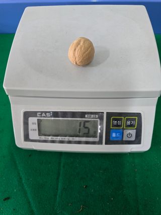 형제들농원님의 자유주제 · 자유게시판 작성글 사진