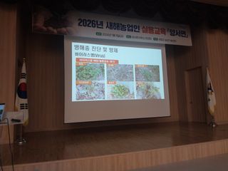 550510.333님의 작성글 사진