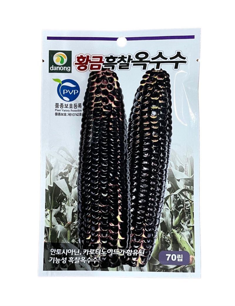 장터 상품 [[황금흑찰옥수수] 종자 70립] 썸네일