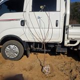 팜모닝 자유주제·자유게시판 게시글 이미지