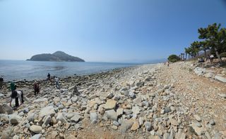 허투루님의 자유주제 · 자유게시판 작성글 사진