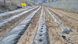 박덕환님의 자유주제 · 자유게시판 작성글 사진