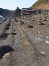 팜모닝 자유주제·자유게시판 게시글 이미지