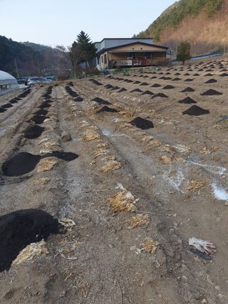 안비님의 자유주제 · 자유게시판 작성글 사진
