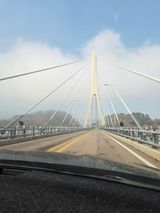 팜모닝 자유주제·자유게시판 게시글 이미지