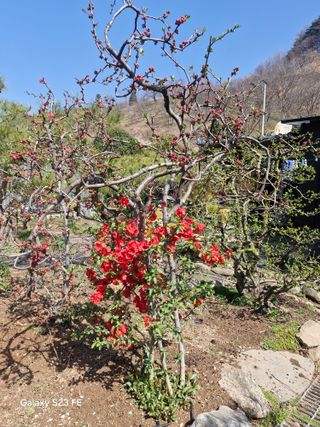 김재열님의 자유주제 · 자유게시판 작성글 사진