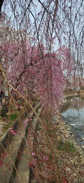구춘봉님의 자유주제 · 자유게시판 작성글 사진