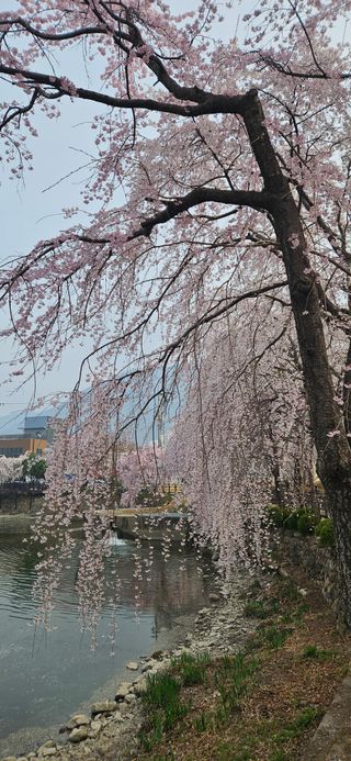 구춘봉님의 자유주제 · 자유게시판 작성글 사진