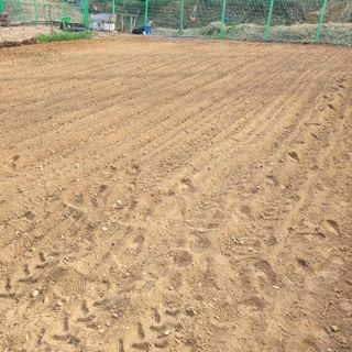 이창화님의 자유주제 · 자유게시판 작성글 사진