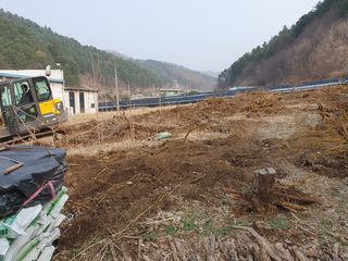 안비님의 자유주제 · 자유게시판 작성글 사진