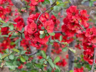 김재열님의 자유주제 · 자유게시판 작성글 사진