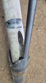 박덕환님의 자유주제·자유게시판 작성글 사진