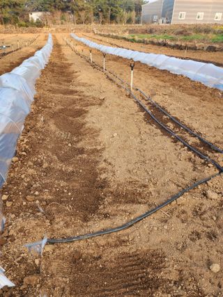 제주부자팜님의 자유주제 · 자유게시판 작성글 사진