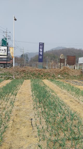550510.333님의 작성글 사진